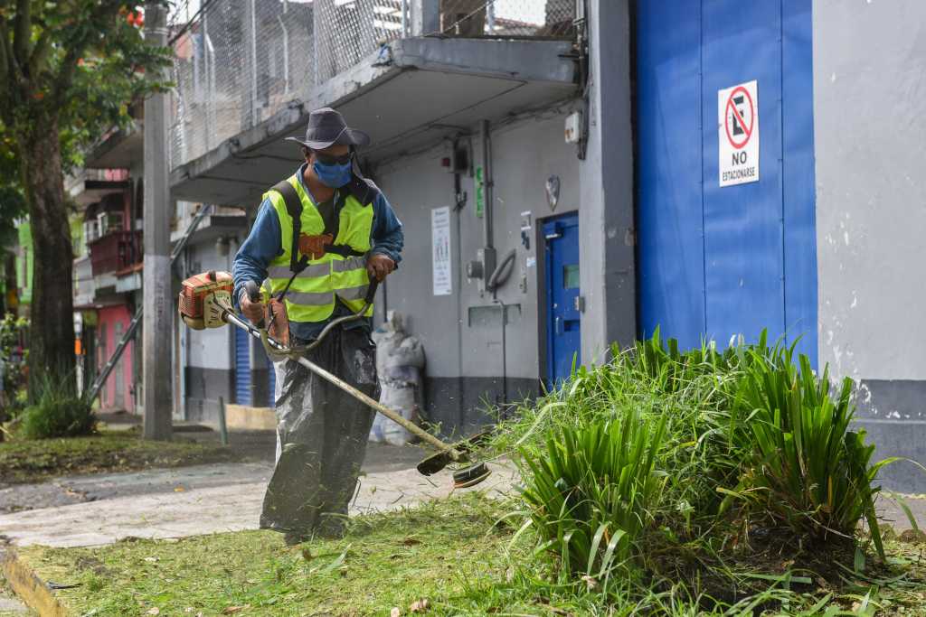 Contin A Limpieza Y Mantenimiento De Reas Verdes En Xalapa Hasta Cuando