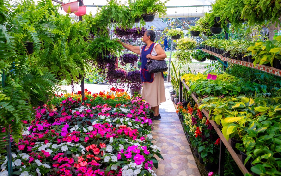 Imagen de WhatsApp 2025-02-11 a las 14.59.40_97680633